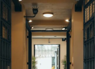 Kelvin Walkway Glasgow: Discover Hidden Gems Along the Path