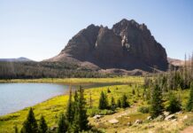 The Glasgow Climbing Centre: Discover Thrills and Adventure Today!