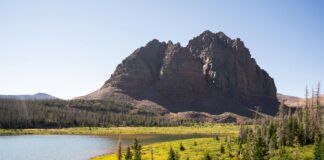The Glasgow Climbing Centre: Discover Thrills and Adventure Today!