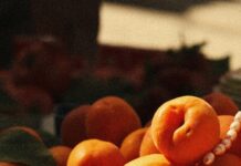 Glasgow Fruit Market: Discover Fresh Delights and Hidden Gems