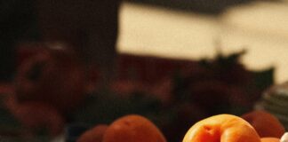 Glasgow Fruit Market: Discover Fresh Delights and Hidden Gems