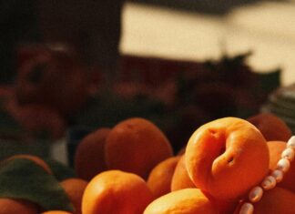 Glasgow Fruit Market: Discover Fresh Delights and Hidden Gems