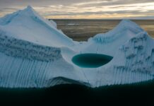 Freecycle Glasgow: Discover Amazing Treasures Near You Today!