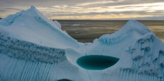 Freecycle Glasgow: Discover Amazing Treasures Near You Today!