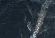 Fishing Glasgow: Discover Top Spots for an Unforgettable Adventure