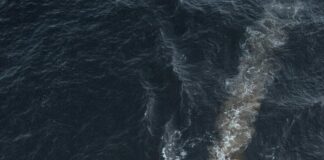 Fishing Glasgow: Discover Top Spots for an Unforgettable Adventure