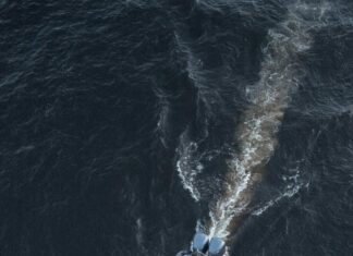 Fishing Glasgow: Discover Top Spots for an Unforgettable Adventure