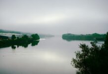 Glasgow To Newcastle Upon Tyne: Discover Hidden Gems Along The Way