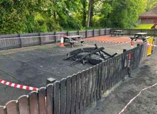 Popular Park Section Closed Due to Fire: Update on Closure popular-park-section-closed-due-to-fire-update-on-closure