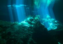 Cessnock Underground Glasgow: Discover Its Hidden Secrets Today!