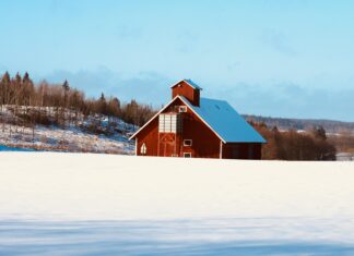 Bungalows For Sale Glasgow: Discover Your Dream Home Today