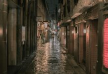 Nithsdale Road Glasgow: Discover Hidden Gems and Local Secrets