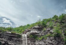 Petershill Park Glasgow: Discover Hidden Gems and Scenic Trails