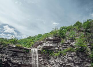 Petershill Park Glasgow: Discover Hidden Gems and Scenic Trails