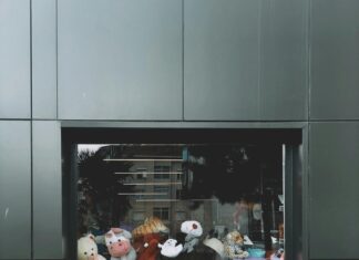 Glasgow Bins Collection: Discover Secrets to Efficient Waste Disposal