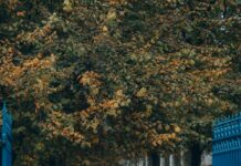 Skyport Parking Glasgow: Discover Affordable Options Near You