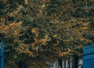 Skyport Parking Glasgow: Discover Affordable Options Near You