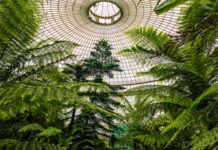 Glasgow Rangers Banter: Uncover Hilarious Tales From The Fans