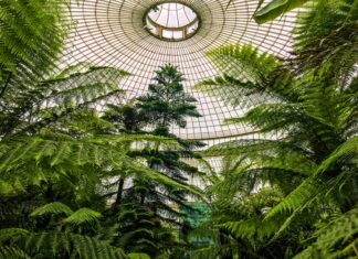 Glasgow Rangers Banter: Uncover Hilarious Tales From The Fans