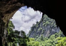 Dawsholm Park Glasgow: Discover Hidden Gems and Scenic Beauty