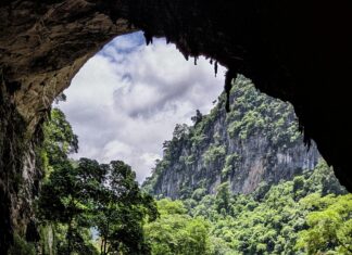 Dawsholm Park Glasgow: Discover Hidden Gems and Scenic Beauty