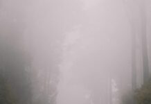 Victoria Road Glasgow: Discover Hidden Gems and Local Delights