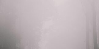 Victoria Road Glasgow: Discover Hidden Gems and Local Delights