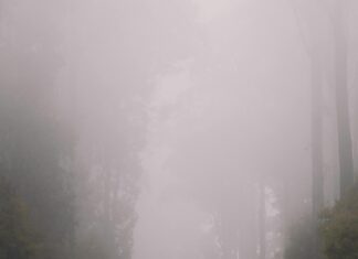 Victoria Road Glasgow: Discover Hidden Gems and Local Delights