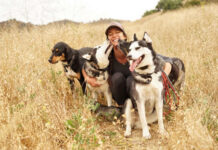 Enhancing Canine Comfort: A Comprehensive Guide to Choosing the Right Dog Bed dog bed, dog beds, large dog beds, best dog beds, outdoor dog beds, orthopedic dog beds, chew proof dog bed, raised dog bed, cooling dog bed, heated dog beds